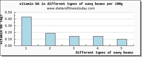 navy beans vitamin b6 per 100g